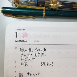 f:id:pochi0812:20181004103815j:image:left f:id:pochi0812:20181004103815j:image:left