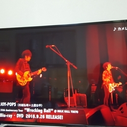 f:id:pochi0812:20181006214645j:plain