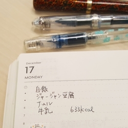 f:id:pochi0812:20181219205715j:image:left