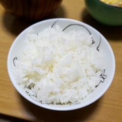 f:id:pochi0812:20181223105304j:image:left f:id:pochi0812:20181223105304j:image:left