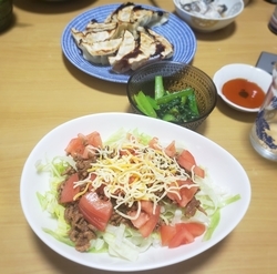 f:id:pochi0812:20190101223607j:plain:left