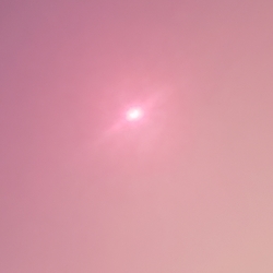 f:id:pochi0812:20190113091208j:plain:left