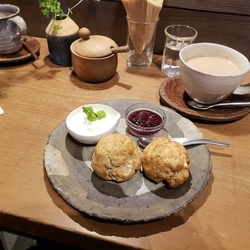 f:id:pochi0812:20190120121622j:plain