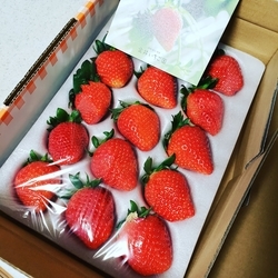 f:id:pochi0812:20190124215648j:plain:left f:id:pochi0812:20190124215648j:plain:left