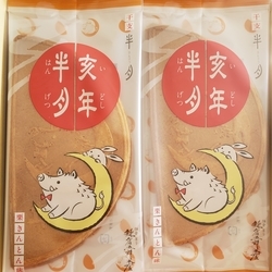 f:id:pochi0812:20190126220056j:plain:left