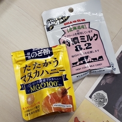 f:id:pochi0812:20190130222640j:plain:left
