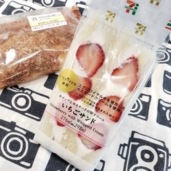 f:id:pochi0812:20190130223655j:plain:left