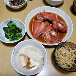f:id:pochi0812:20190210152138j:plain:left