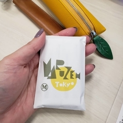 f:id:pochi0812:20190216222007j:plain:left