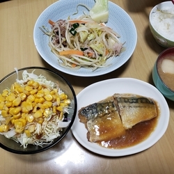 f:id:pochi0812:20190217103045j:plain:left