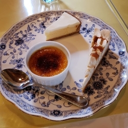 f:id:pochi0812:20190301183621j:plain