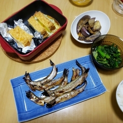 f:id:pochi0812:20190325120810j:plain:left