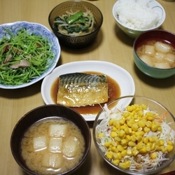 f:id:pochi0812:20190325121204j:plain