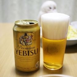 f:id:pochi0812:20190325125117j:plain