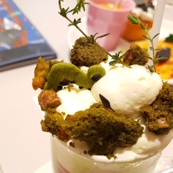 f:id:pochi0812:20190403130843j:plain