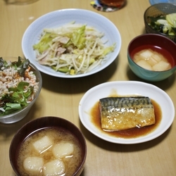 f:id:pochi0812:20190404150845j:plain:left