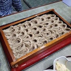 f:id:pochi0812:20190501145040j:plain f:id:pochi0812:20190501145040j:plain