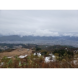 f:id:pochi0812:20190612111252j:plain:left f:id:pochi0812:20190612111252j:plain:left