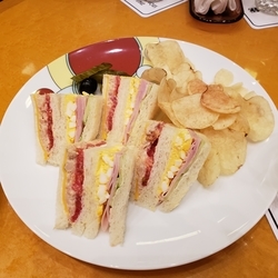 f:id:pochi0812:20190612162922j:plain