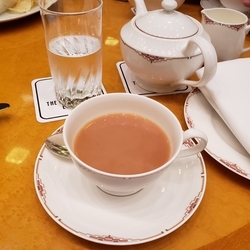 f:id:pochi0812:20190612162942j:plain