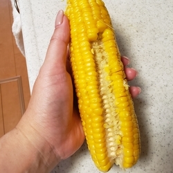 f:id:pochi0812:20191001160404j:plain:left