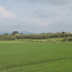 f:id:pochi0812:20191002151510j:plain