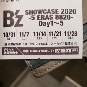 f:id:pochi0812:20201104142003j:plain