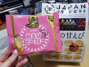 f:id:pochi0812:20201201103002j:plain