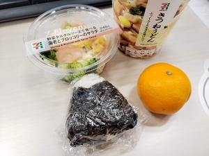 f:id:pochi0812:20201228100114j:plain