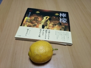 f:id:pochi0812:20201228103752j:plain