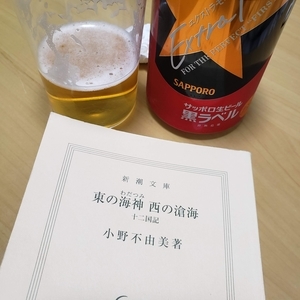 f:id:pochi0812:20210122112701j:plain