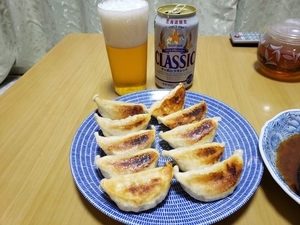 f:id:pochi0812:20210128134048j:plain
