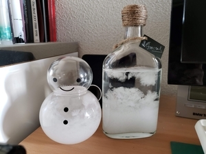 f:id:pochi0812:20210205123820j:plain