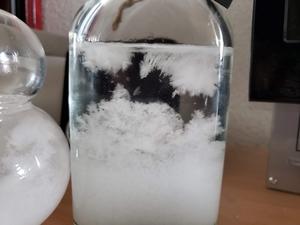 f:id:pochi0812:20210205123831j:plain