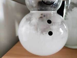 f:id:pochi0812:20210205123842j:plain