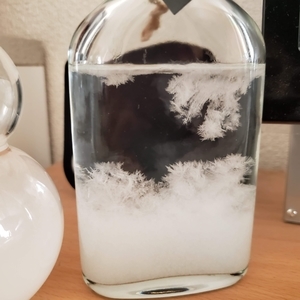 f:id:pochi0812:20210209154605j:plain