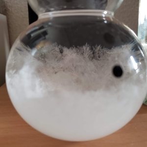 f:id:pochi0812:20210227152340j:plain