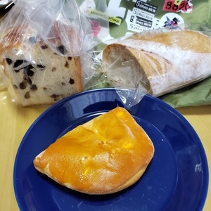 f:id:pochi0812:20210227154139j:plain