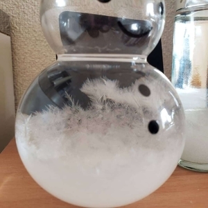 f:id:pochi0812:20210304141309j:plain