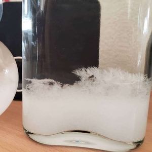 f:id:pochi0812:20210304141314j:plain