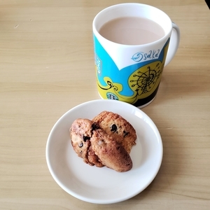 f:id:pochi0812:20210315184456j:plain