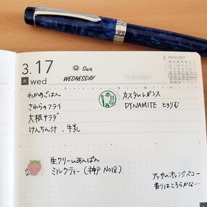 f:id:pochi0812:20210318232809j:plain