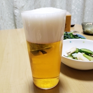 f:id:pochi0812:20210318232837j:plain