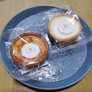 f:id:pochi0812:20210422210357j:plain