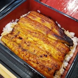 f:id:pochi0812:20210424234020j:plain