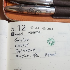 f:id:pochi0812:20210513140010j:plain