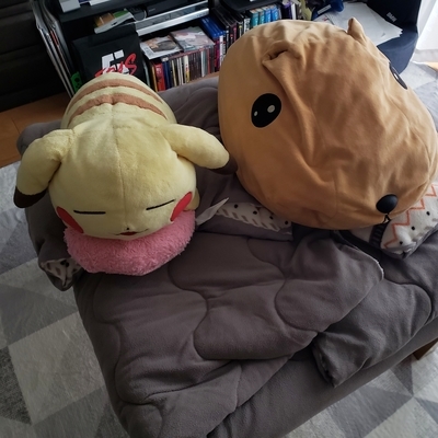 f:id:pochi0812:20211103092913j:plain