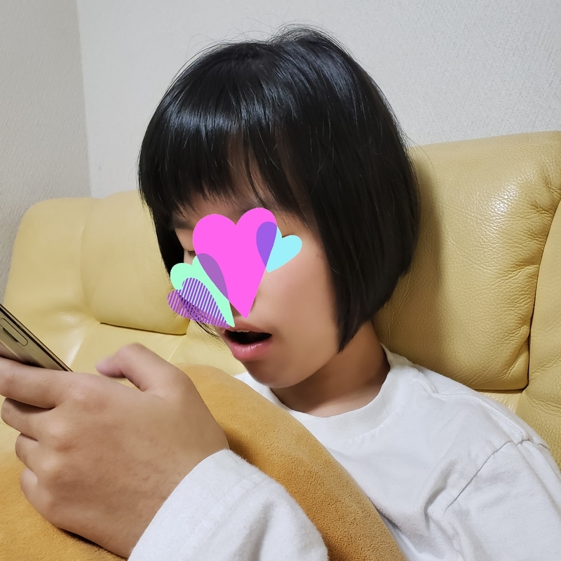 f:id:pochi0812:20220201144122j:plain:w300