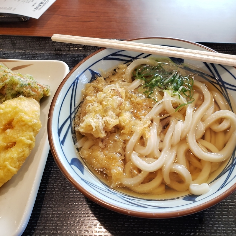 f:id:pochi0812:20220304103342j:plain:w400