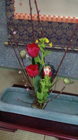 f:id:pochi31700:20120308182428j:image f:id:pochi31700:20120308182428j:image
